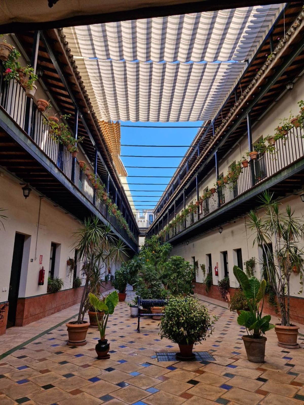 Appartamento Patio Cartuja Siviglia Esterno foto